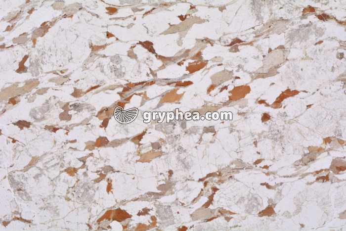 Gneiss LPNA x3,5 - gryphea.com